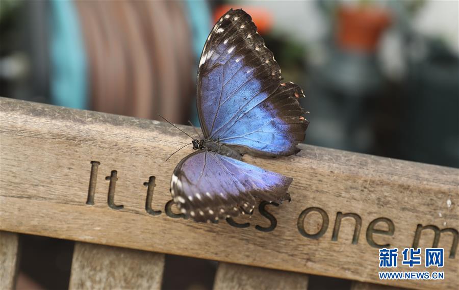 莊神體現(xiàn)糟糕被沖上熱搜 網(wǎng)友主張他去麥當勞上班