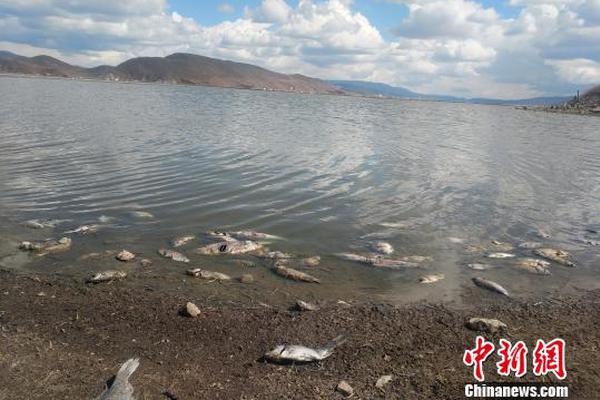 《沙巴克傳奇之王者歸來》內(nèi)部場景圖流出