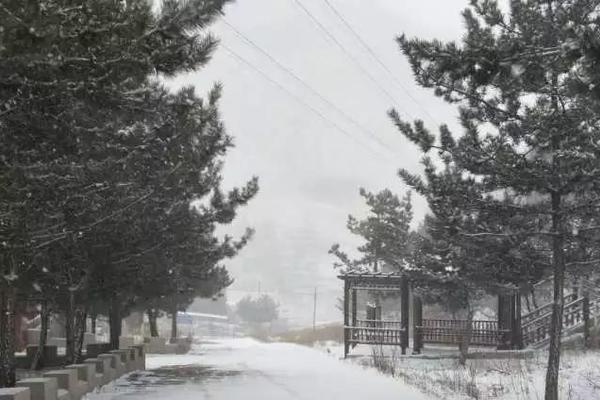 維拉戀愛模擬器免費鉆石安卓最新版 v1.0