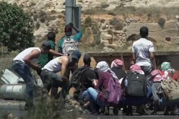 《爸爸去哪兒》收視飆漲 用美圖看看秀自家寶物