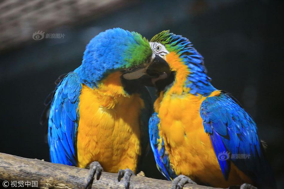 OP參加駿網(wǎng)一卡通